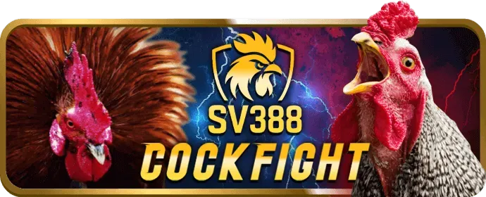 Chương trình VIP 566bet